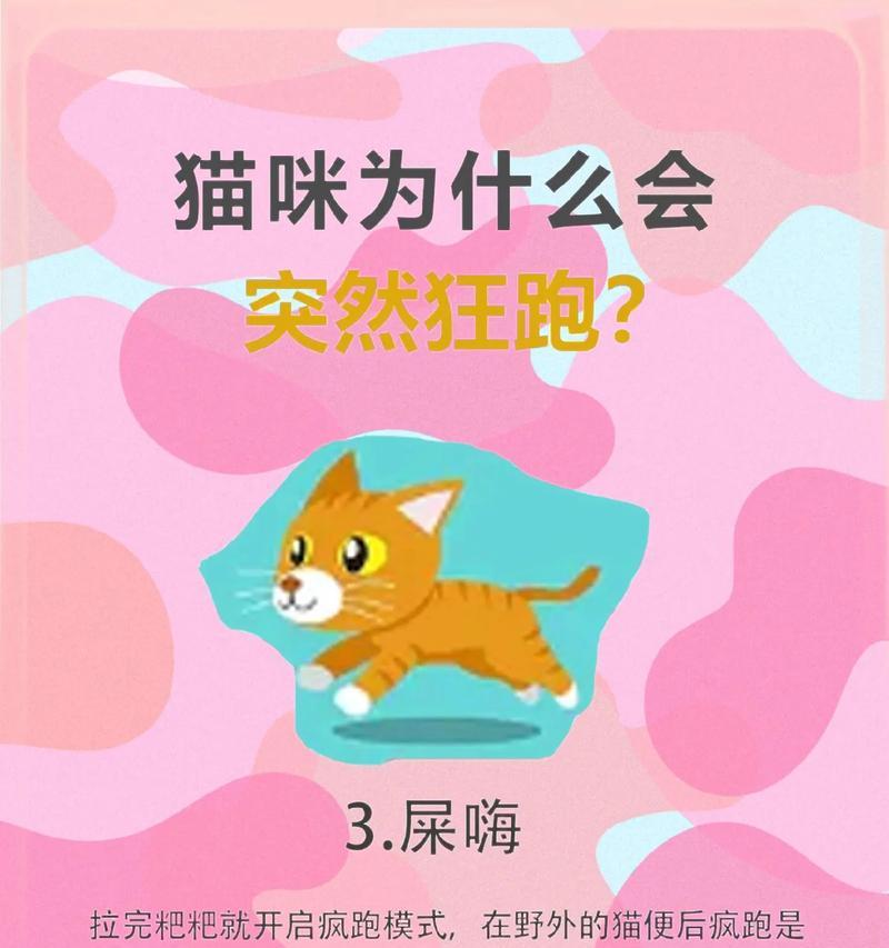 猫咪突然消失后怎么办？买猫粮后如何防止猫逃跑？