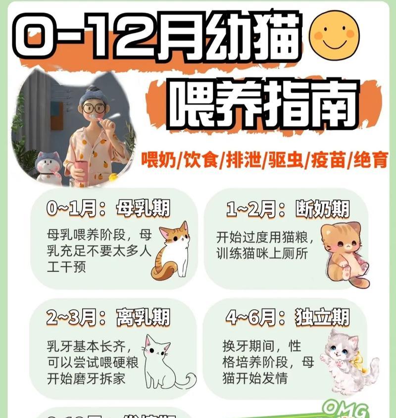 幼猫睁开眼后如何正确喂食猫粮？需要注意哪些事项？