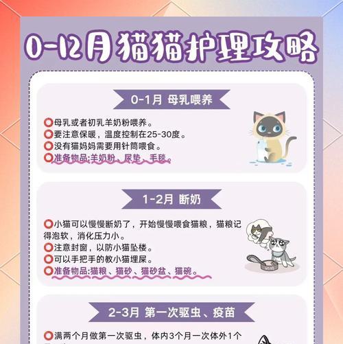 幼猫睁开眼后如何正确喂食猫粮？需要注意哪些事项？