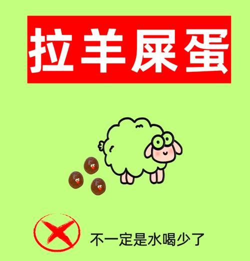 羊驼粪便有哪些用途？正确处理方法是什么？