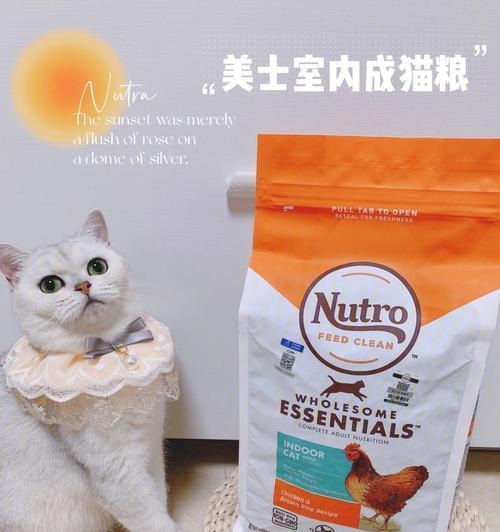 灰猫专吃猫粮怎么办