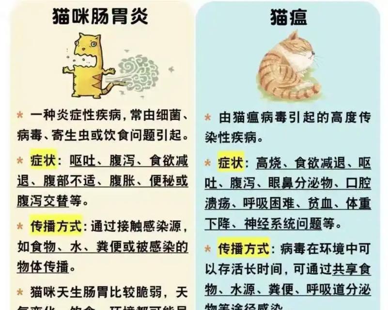 小猫突然吐猫粮拉稀怎么办？如何快速应对宠物紧急情况？