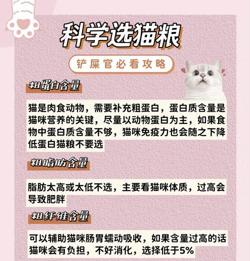 哪些猫粮不适合猫咪购买？购买猫粮时如何辨别好坏？