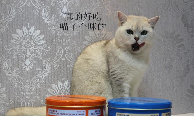 密封罐装猫粮的盖子怎么打开？有哪些便捷的开盖技巧？
