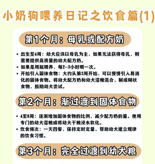 德牧幼犬每月进食几餐合适？饮食计划如何科学安排？