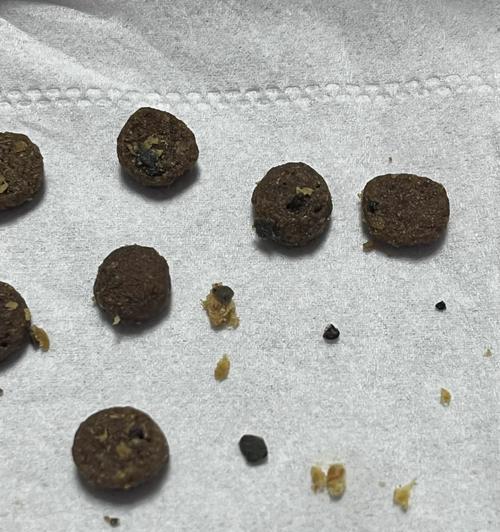 猫咪食用含虫子的猫粮会有什么后果？如何确保宠物食品的安全？