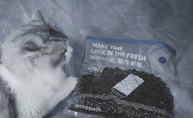 猫咪食用含虫子的猫粮会有什么后果？如何确保宠物食品的安全？