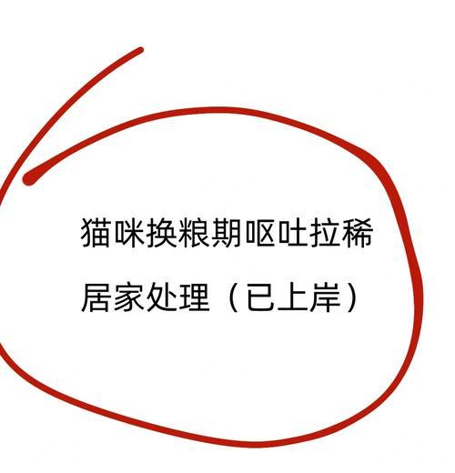幼猫换粮软便拉稀怎么办？选择合适猫粮的注意事项有哪些？