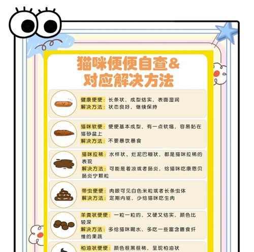 幼猫换粮软便拉稀怎么办？选择合适猫粮的注意事项有哪些？