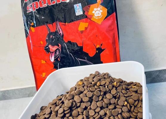 杜宾犬自制狗粮配方指南：必需食物与营养平衡技巧？