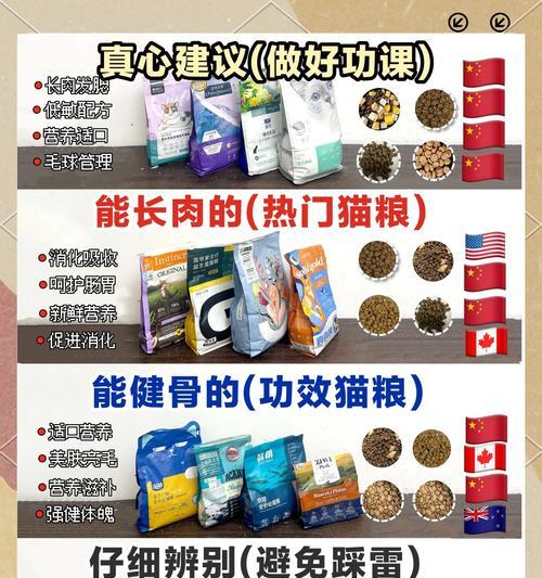 新手养猫应准备哪些猫粮？如何选择适合的猫粮品牌？