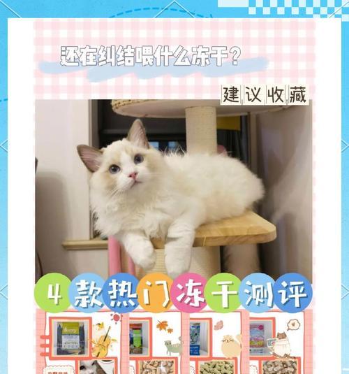 冻干粮与猫粮的区别是什么？哪种更适合我的猫咪？