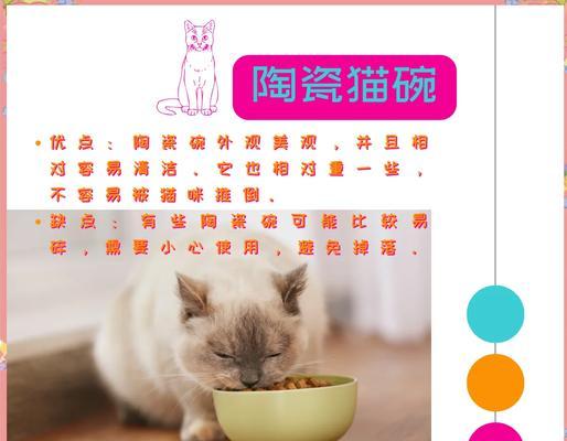 脸平的猫咪应该用什么类型的猫粮碗？选择时应注意哪些要点？