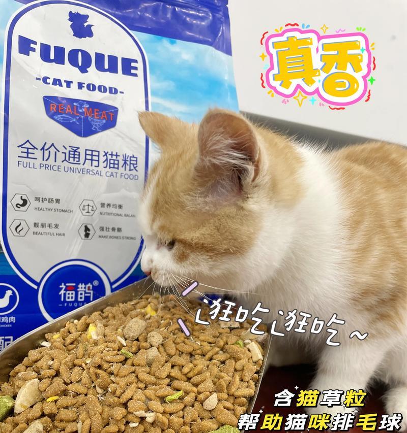 宠物店推荐猫粮有哪些？猫粮宠物店应该选择哪种？