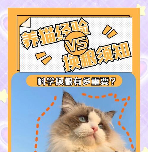 猫粮七天不更换对猫咪健康有影响吗？长期不换粮会导致哪些问题？