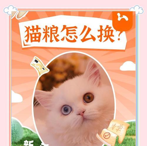 成猫换粮不吃怎么办？过渡猫咪饮食习惯的正确方法是什么？