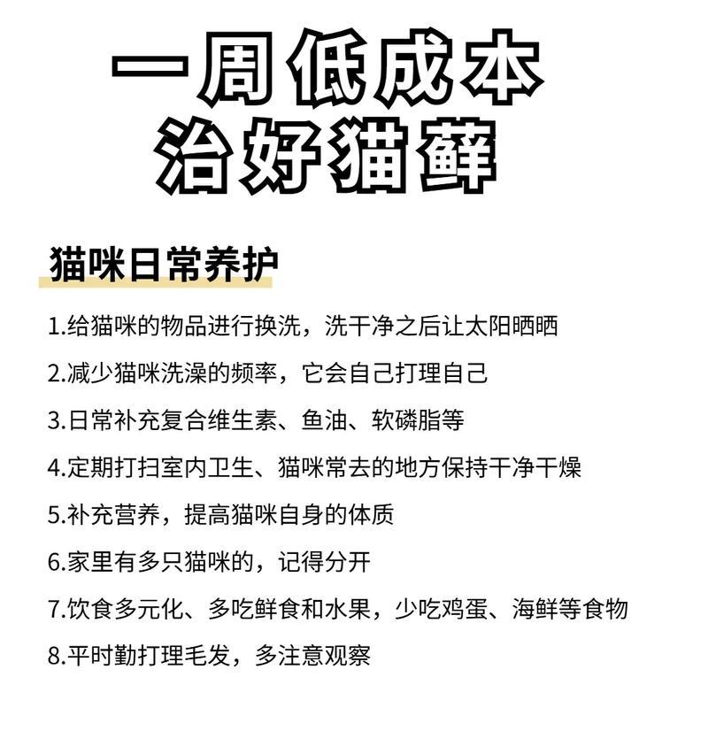 猫咪爱吃发霉猫粮怎么办？如何有效预防？