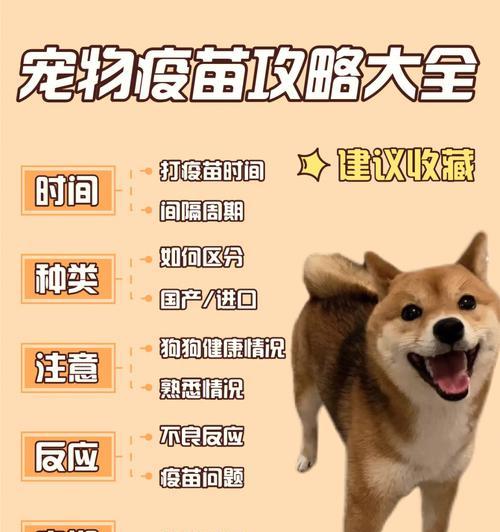 德牧幼犬疫苗接种指南：需要打几次？时间表如何安排？