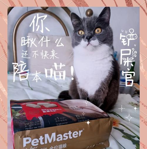 佩马斯特猫粮的用户评价如何？购买前需要了解哪些信息？