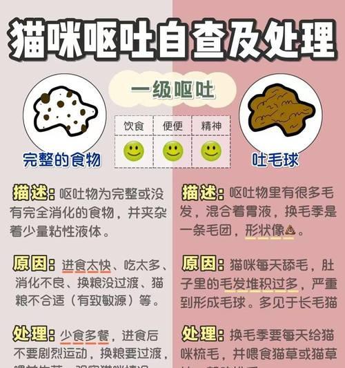 猫咪呕吐猫粮怎么办？呕吐背后的原因有哪些？