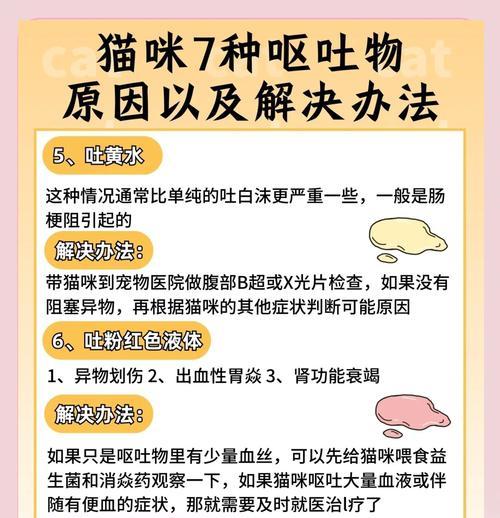 猫咪呕吐猫粮怎么办？呕吐背后的原因有哪些？