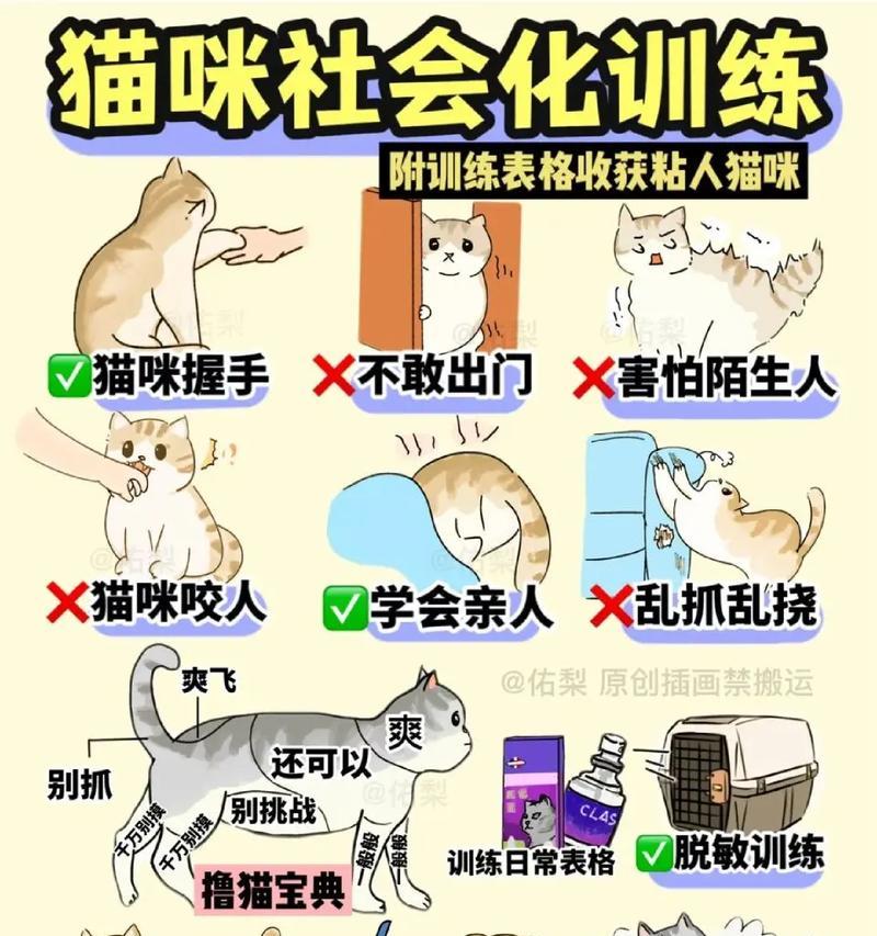 猫咪扒拉猫粮怎么办？训练猫咪正确饮食的技巧是什么？