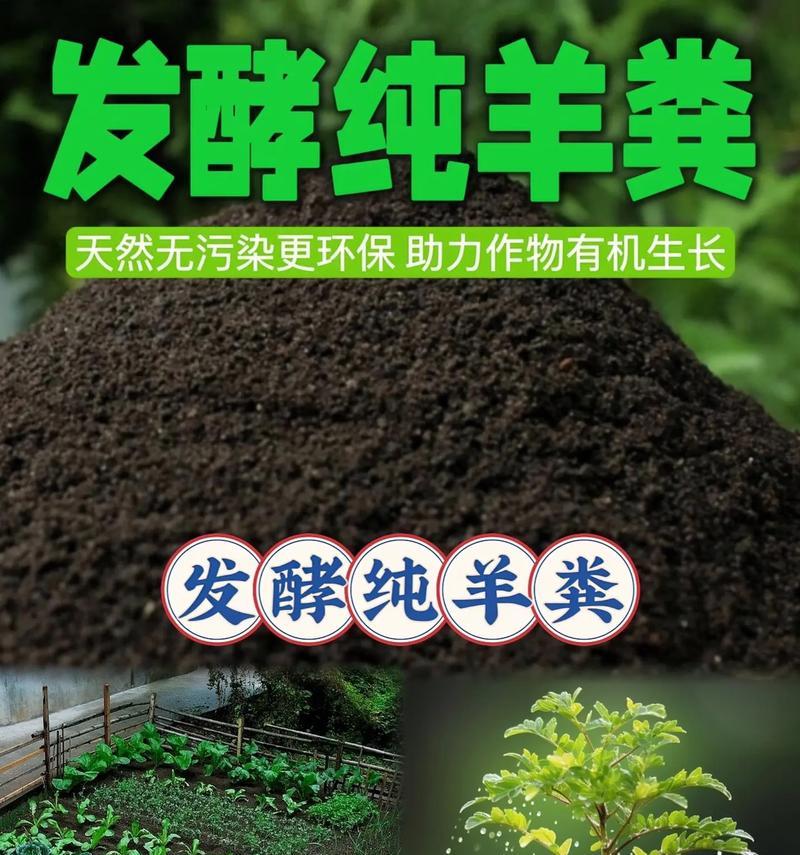 羊驼羊粪处理方法有哪些？如何有效清洁羊驼粪便？