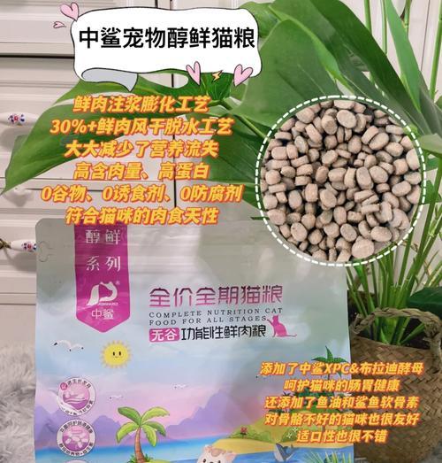 炒制猫粮对猫咪健康有何影响？是否真的有益于宠物？