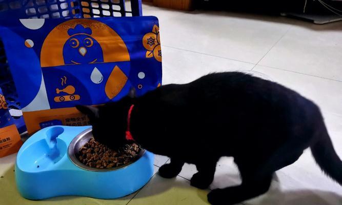 猫粮中的黑色点点是什么？它们对猫咪有害吗？