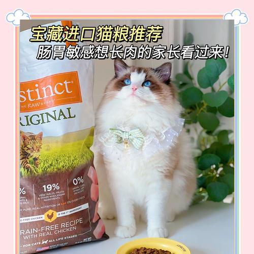 在美国购买猫粮时应注意哪些安全问题？如何确保选购的猫粮符合健康标准？