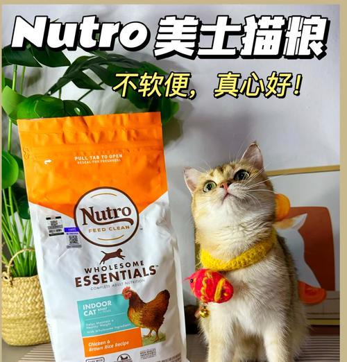 在美国购买猫粮时应注意哪些安全问题？如何确保选购的猫粮符合健康标准？