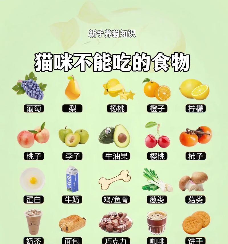 小猫咪只吃猫粮不吃其他食物是为什么？如何解决？