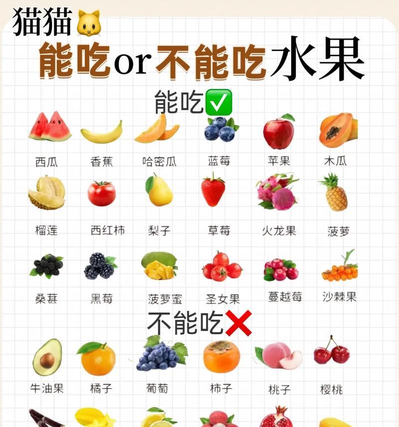 小猫咪只吃猫粮不吃其他食物是为什么？如何解决？