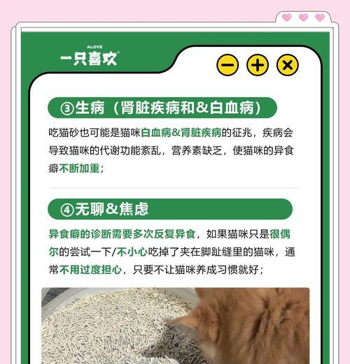 宠物猫长期食用猫粮导致疾病的原因是什么？如何预防和解决？