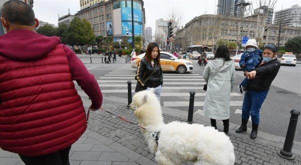 天河城里遛羊驼的地方叫什么？推荐的地点有哪些？