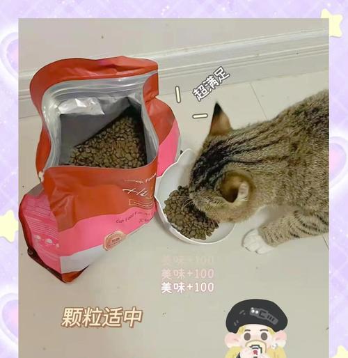 猫粮导致臭粑粑怎么解决？有哪些好猫粮推荐？