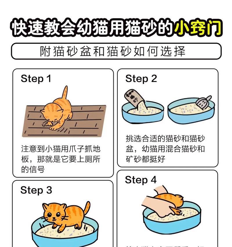 猫粮加水打成泥捣碎机怎么用？操作步骤是怎样的？