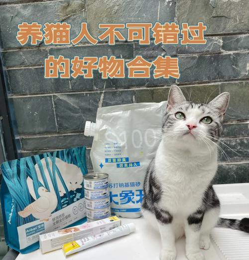 猫粮加水打成泥捣碎机怎么用？操作步骤是怎样的？