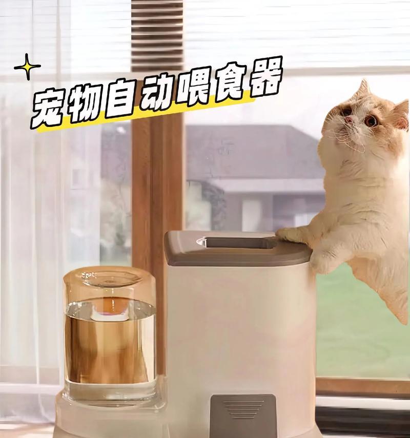野外猫粮自动投喂机如何操作？使用过程中常见问题有哪些？