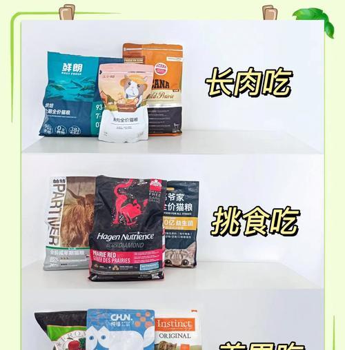猫咪不吃猫粮怎么办？解决猫粮不吃的有效方法是什么？