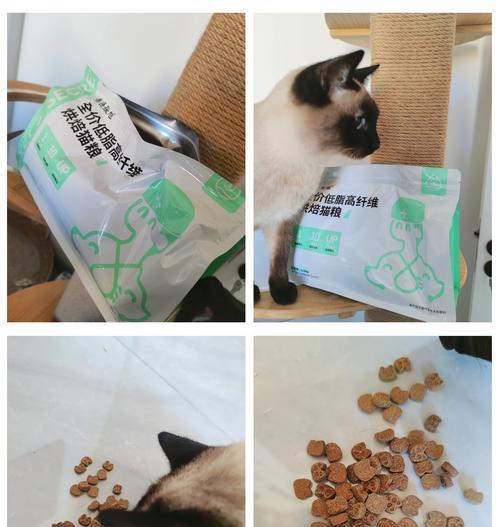 猫粮过期了还能吃吗？绝育后猫咪食欲不振怎么办？