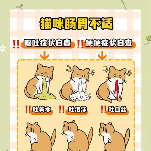 猫粮导致拉肚子的原因是什么？有效预防措施有哪些？
