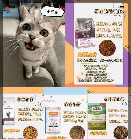 猫咪不爱吃猫粮怎么办？有效应对策略有哪些？