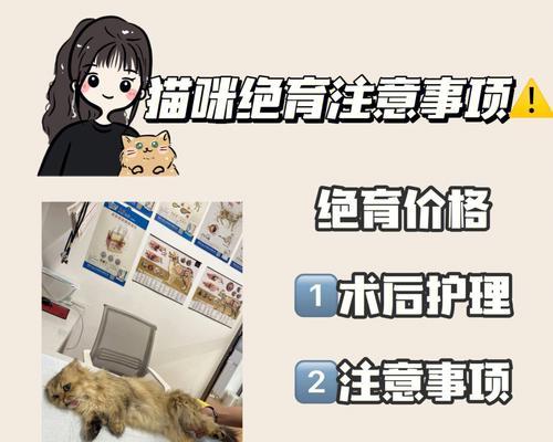 绝育后猫咪喂食处方粮指南：正确方法与常见问题解答？