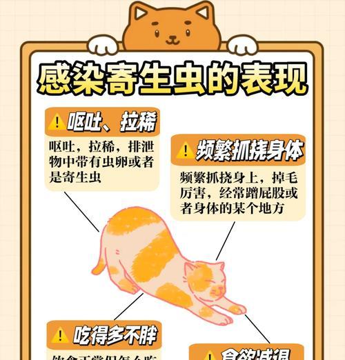 家养猫咪吃猫粮为何出现寄生虫？如何有效预防和处理寄生虫问题？