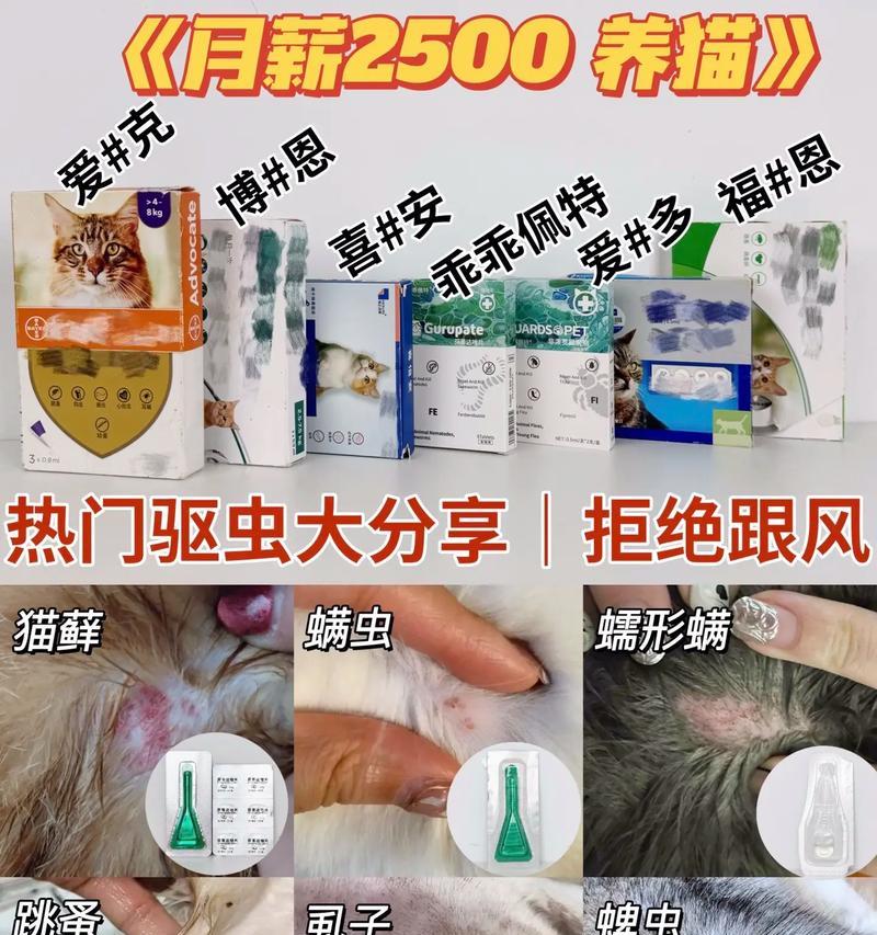 家养猫咪吃猫粮为何出现寄生虫？如何有效预防和处理寄生虫问题？