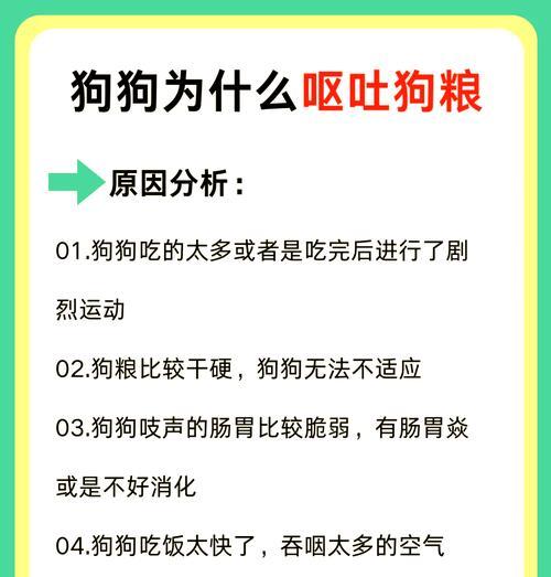 狗狗4天不吃狗粮怎么办？有效解决狗狗拒食的方法是什么？