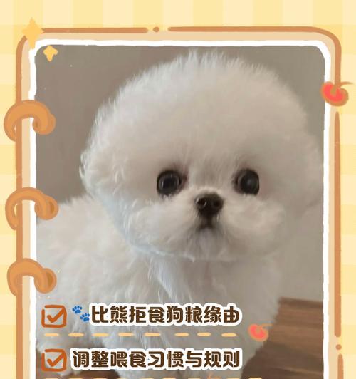 狗狗4天不吃狗粮怎么办？有效解决狗狗拒食的方法是什么？