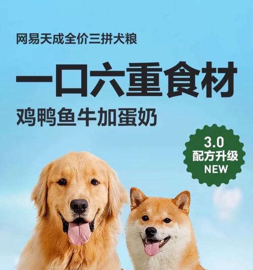 狗狗为什么偏爱鱼粮？揭秘宠物饮食偏好背后的科学