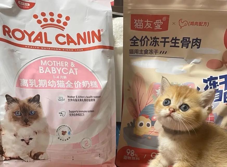 奶糕猫粮是什么？适合哪些阶段的猫咪食用？